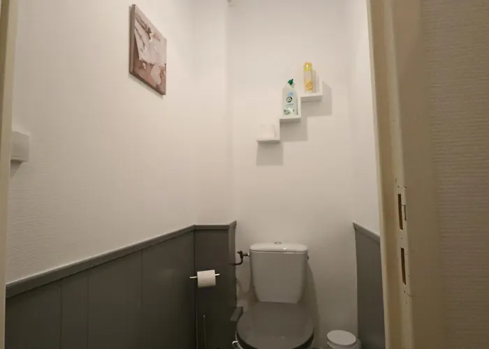 Appartement Pour 2 Au Cœur Du Massif Du Sancy - Fr-1-858-37